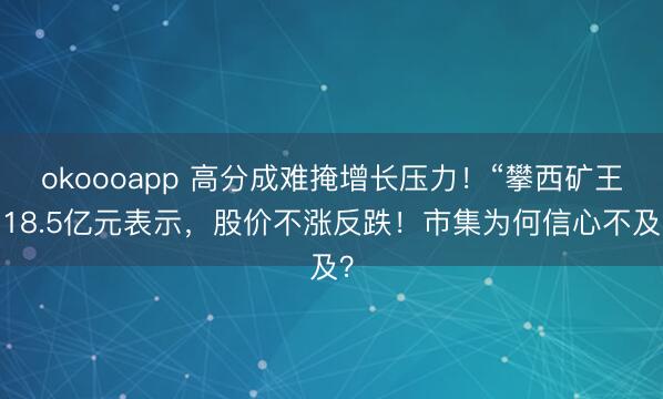 okoooapp 高分成难掩增长压力！“攀西矿王”18.5亿元表示，股价不涨反跌！市集为何信心不及？