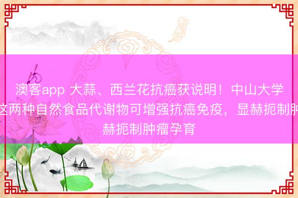 澳客app 大蒜、西兰花抗癌获说明！中山大学最新：这两种自然食品代谢物可增强抗癌免疫，显赫扼制肿瘤孕育